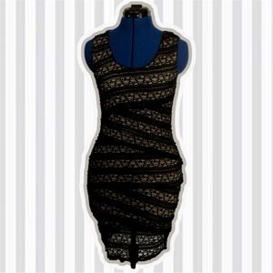 Max Studio Elegant Black Lace Dress